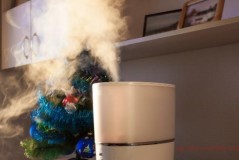 Who should not use a humidifier?