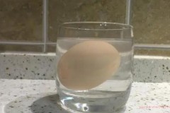 Why do eggs float in salt water?
