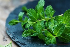 Can fresh mint be eaten as salad cold?