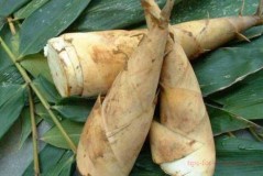 Blanching winter bamboo shoots in cold water or hot water