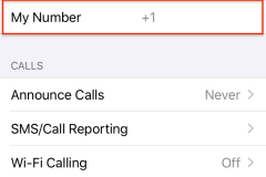 How to Find My New Phone Number on iPhone