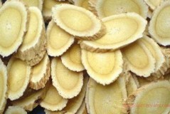 Can Astragalus and donkey-hide gelatin eat together
