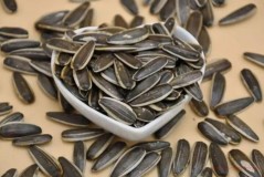 Will eating melon seeds make me gain weight?