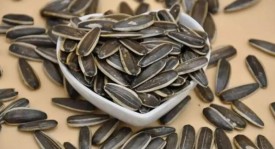 Will eating melon seeds make me gain weight?