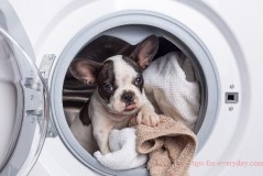 Buy a wave wheel washing machine or buy a drum washing machine?