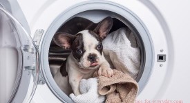 Buy a wave wheel washing machine or buy a drum washing machine?