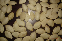 The efficacy and role of pumpkin seeds