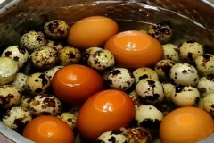 Can quail eggs and eggs be eaten together?