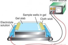 What is the difference between electrophoresis and electroplating