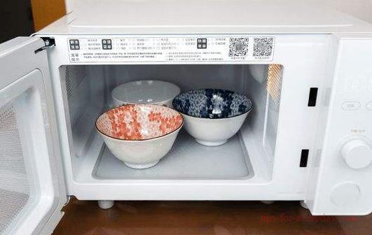 Can a microwave oven serve as an oven?1