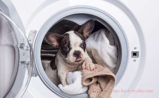 Buy a wave wheel washing machine or buy a drum washing machine?1