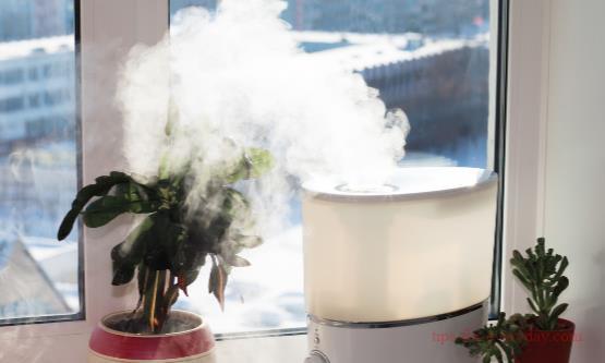 Precautions for using a humidifier1