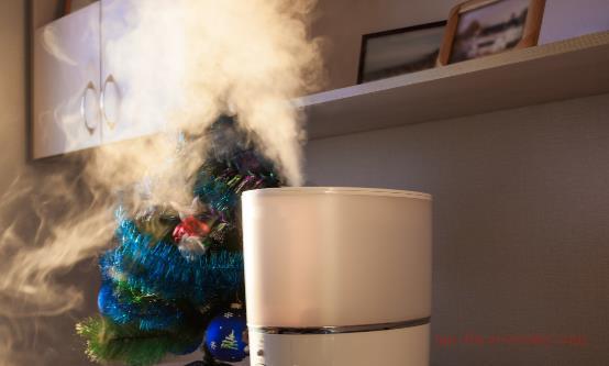 Who should not use a humidifier?1