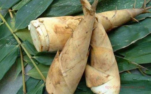 Blanching winter bamboo shoots in cold water or hot water1