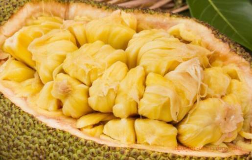 What if jackfruit is not ripe after being cut1
