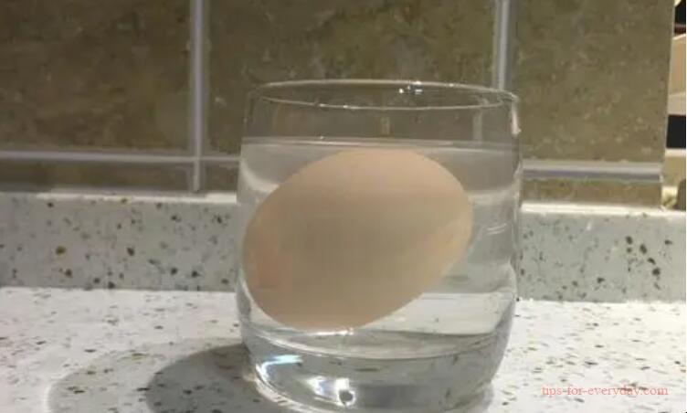 Why do eggs float in salt water?1