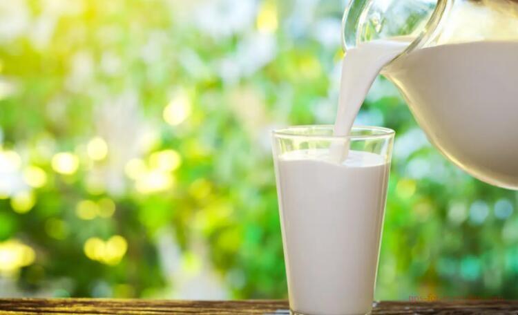 Does drinking too much milk make it heaty?1