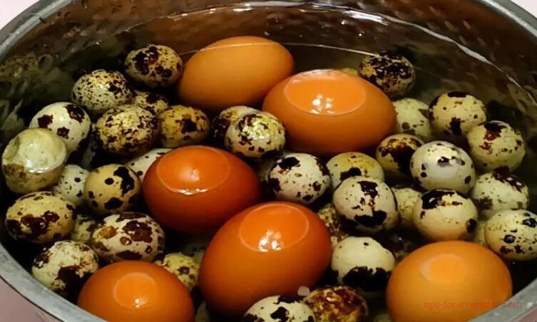 Can quail eggs and eggs be eaten together?1