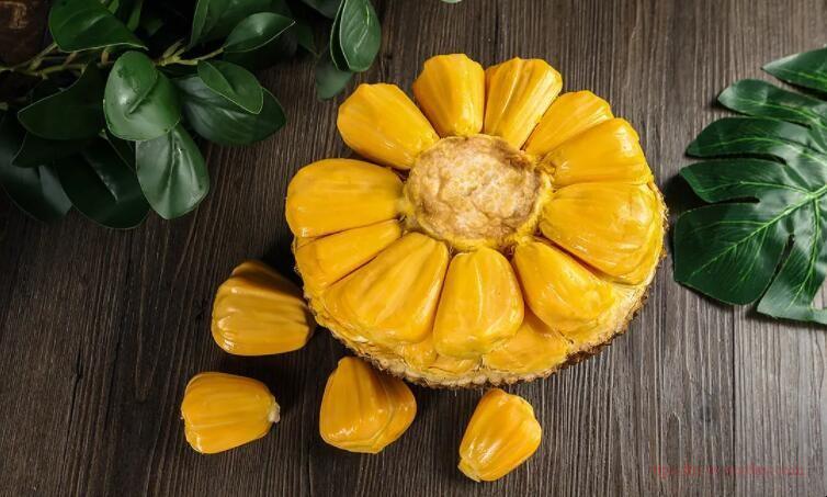 Does eating jackfruit make you fat?1